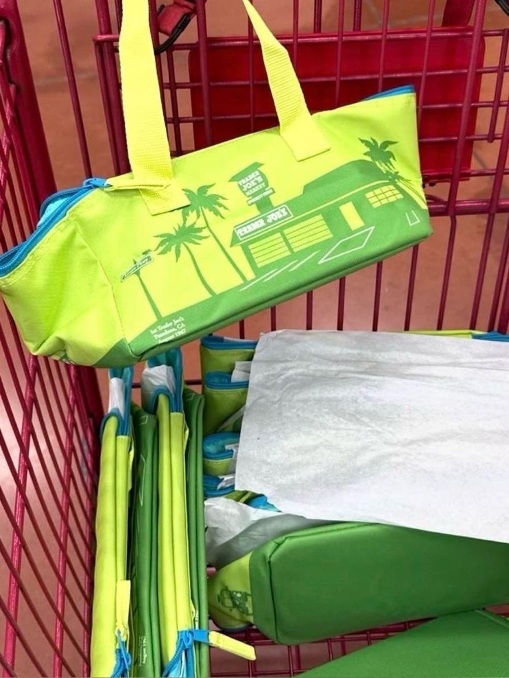 Brand New Trader Joe’s mini green & blue insulated lunch bag